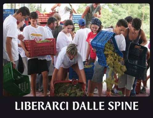 liberarci-dallespine